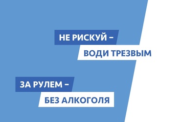 Госавтоинспекция Подмосковья провела акцию для реутовских водителей