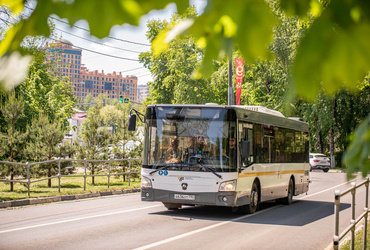 В Реутове запустят бесплатные автобусы на праздники