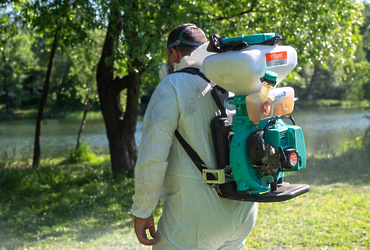 В Реутове проведут обработку общественных пространств от клещей