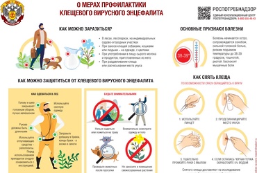 О мерах профилактики инфекций, переносчиками которых являются клещи