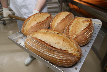 Цех хлебобулочных изделий открыла компания «Планета Мириталь» на территории Реутова