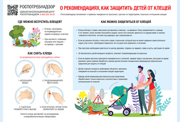 Как защитить детей от клещей