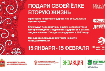 Подари своей елке вторую жизнь