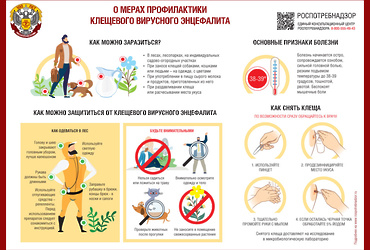 «О мерах профилактики инфекций, переносчиками которых являются клещи»