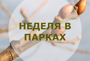 НЕДЕЛЯ В ПАРКАХ