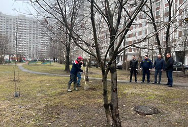 Проверка уборки дворовых территорий