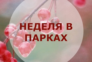 НЕДЕЛЯ В ПАРКАХ