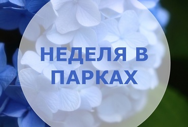 Неделя в парках