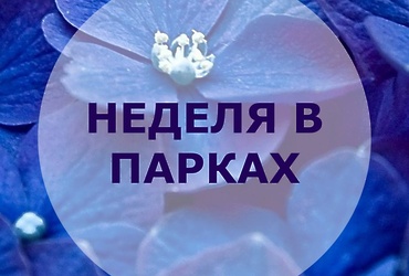 Неделя в парках