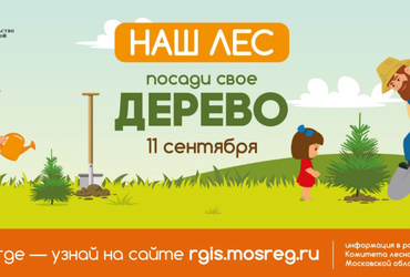 Акция «Наш Лес посади свое дерево» пройдет 11 сентября в городском округе Реутов