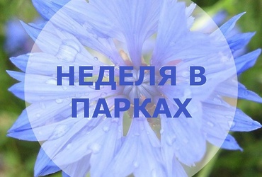 Неделя в парках