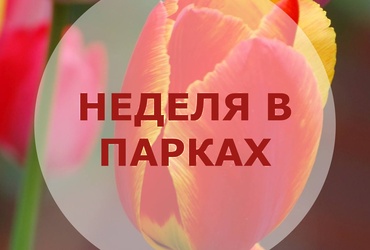 Неделя в парках