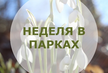Неделя в парках