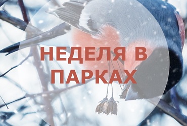Неделя в парках