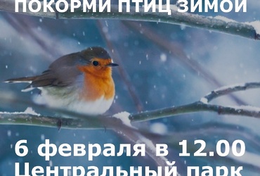 Всероссийская акция  «Покорми птиц зимой»