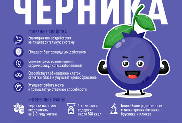 Черника против старения