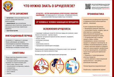 Профилактика бруцеллеза