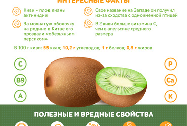 Киви: заряд энергии и витаминов