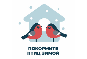 9 февраля акция «Покормите птиц зимой» в Центральном городском парке