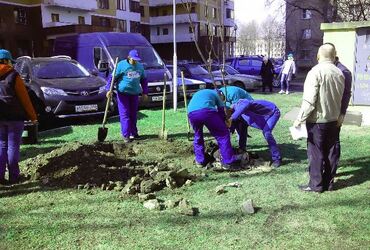 29.04.2017 года в рамках акции «Лес победы» на территории городского округа Реутов было посажено 1500 деревьев, в акции приняли 5000 человек.