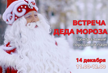 Встреча Деда Мороза