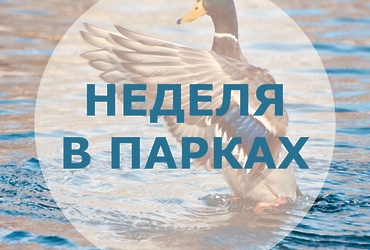 Неделя в парках!