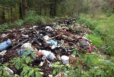 Госадмтехнадзор напомнил, что кладбище тоже нужно убирать