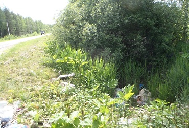 В Шатуре на дорогах выявлено 12 нарушений