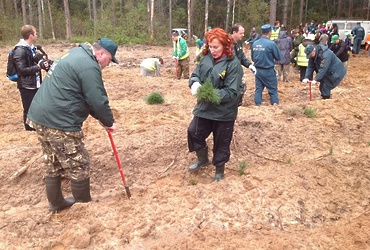 Татьяна Витушева: «Сегодня мы помогли лесу, а завтра лес поможет нам»
