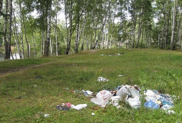 Госадмтехнадзор заставил власти Нахабино навести порядок в парке