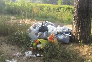 Госадмтехнадзор избавляет Подмосковье от мусора