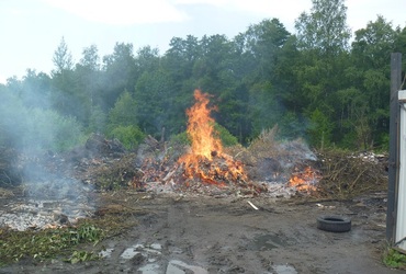 Инспекторы Госадмтехнадзора предотвратили крупный пожар в лесу