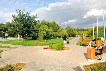 Благодаря Госадмтехнадзору за эту неделю в Подмосковье устранено 845 нарушений чистоты и порядка