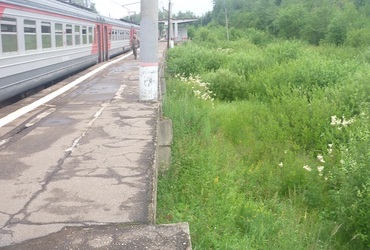 В Шаховском районе приведут в порядок  железнодорожную платформу