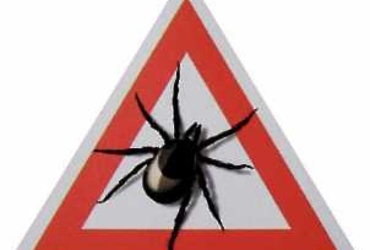 «Пора» клещей настала.