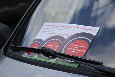 Флешмоб «Спасти газон» прошел сегодня в Подмосковье