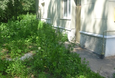 В Сергиевом Посаде штрафуют за травостой