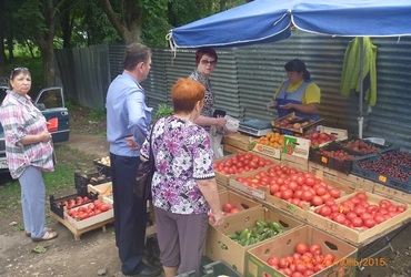 В Кашире Госадмтехнадзор провел рейд по несанкционированной торговле