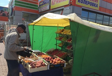 Рейд по несанкционированной торговле в Солнечногорском районе