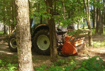 Ногинский парк приводят в порядок