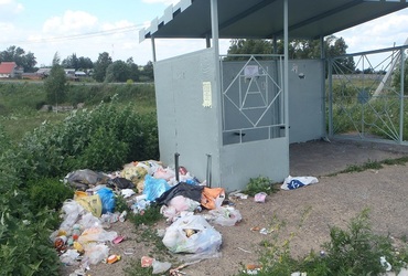 Татьяна Витушева: чистоте на остановках нужно учить