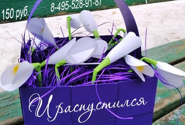 «И расцвел подснежник…»