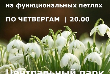 Тренировка на функциональных петлях