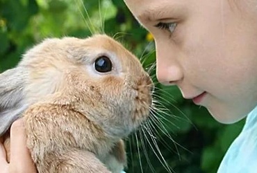 «Эко‑ферма»