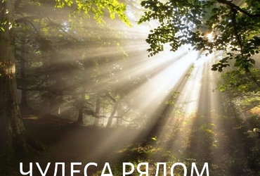 «Чудеса рядом»