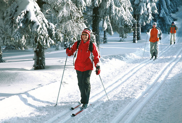 Мастер‑класс по лыжам