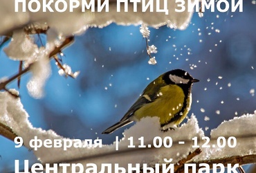 Акция «Покорми птиц зимой»