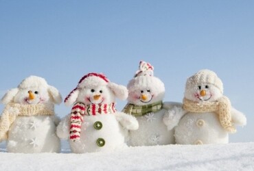 «День снега»