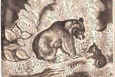 Выставка работ