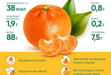 Цитрусовые – лучший выбор для зимы